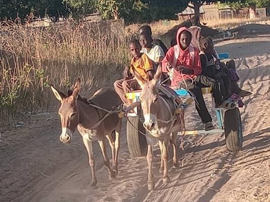 WhatsApp-Image-2026-02-11-at-134625-3